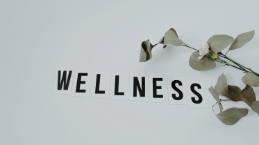 wellness.png