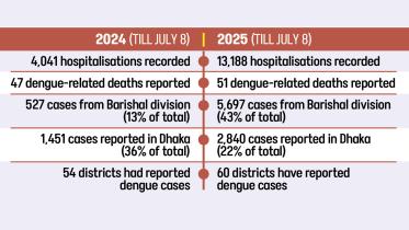 dengue-spread.jpg