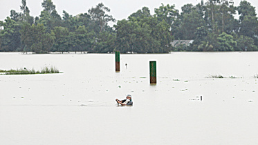 flood1.jpg