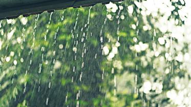 rainwater.jpg