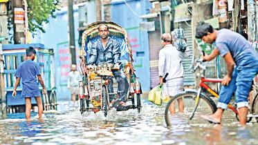 waterlogging.jpg
