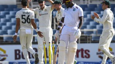 Starc_Seales.jpg