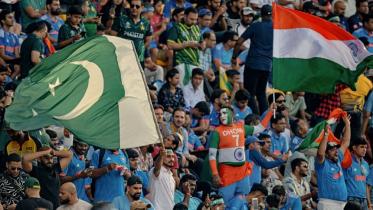 india_v_pak_fan_2.jpg