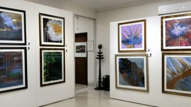 Farida Yesmin Parveen brings fluid acrylic art to life in ‘Colors of Nature’