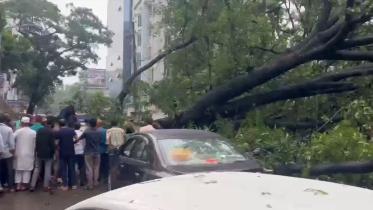 dhanmondi.jpg