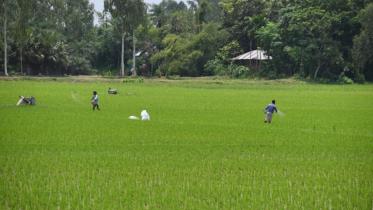 Climate change demands better forecasts for farmers
