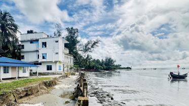 st_martin_coconut_trees_07_1.jpg