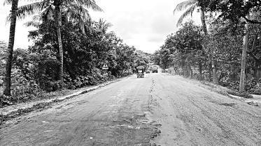 dashuria-in-pabna-1.jpg