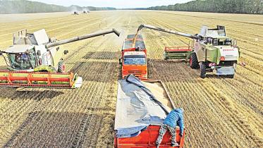 agricultural-workers.jpg