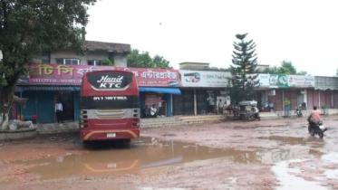 bus_natore.jpg