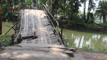 nazirpur-upazila.jpg