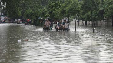op_1_env_data_file_photo_prabir_das.jpg