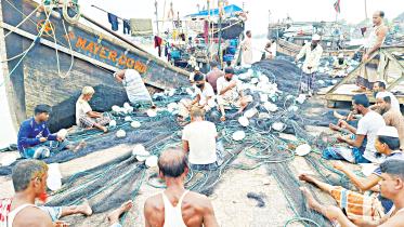 hilsa-1.jpg