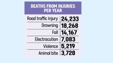 Deaths From Injuries Per Year