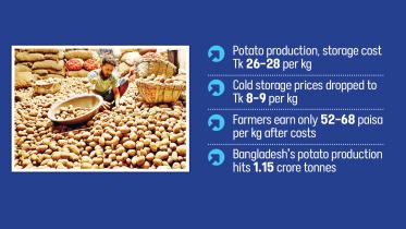 potato price drop Bangladesh