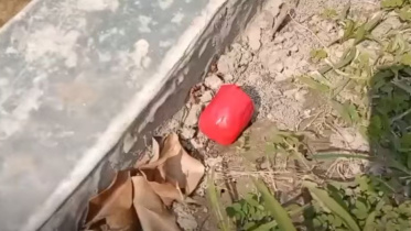 crude bombs
