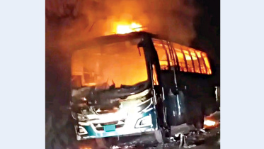 busbus.jpg