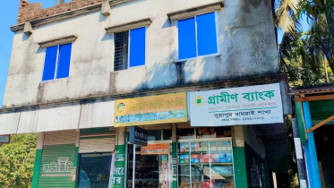 grameen.jpg