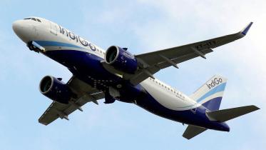 indigo.jpg