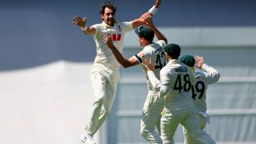 starc1.jpg