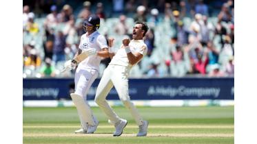 starc_ashes_25.jpg
