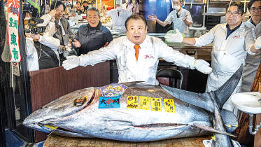 tuna-fish.jpg