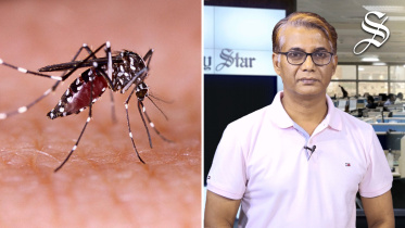 dengue-multimedia.jpg