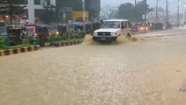 record rainfall.jpg