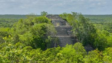 Soft-Mayan.jpg