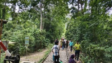 Tracks of peril.jpg
