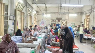 Dengue.jpg