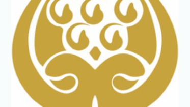 saarc-logo-final.jpg