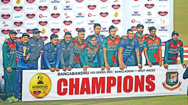 tigers return with whitewash