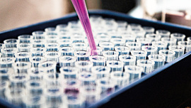 lab-1.jpg