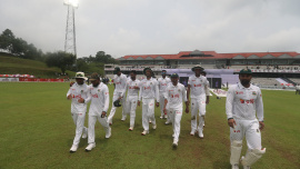 BD Tigers 2.JPG