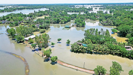 Flood.jpg