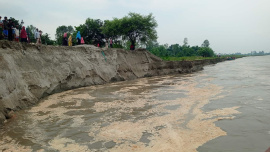 The erosion has spread from Chargirish Bazar to the Bhetua area, putting West Chargirish Government Primary School, several mosques, a madrasa, and the local market at risk. Photo: Star