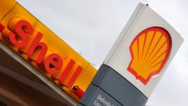 Shell.jpg