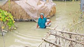 climate-adaptation.jpg