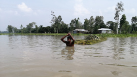 flood-2.jpg