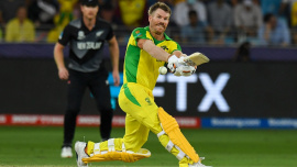 warner_1.jpg