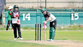 cricket1.jpg