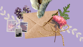 facebook_thumbnail_8.png