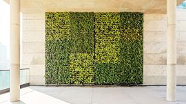 green-saving-green-1.jpg