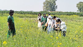 organic-farming1.jpg