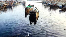 river9.jpg