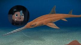 shark_named_after_pochita_from_chainsaw_man.jpg