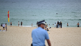 afp_20251222_88th39v_v1_midres_australiaattackbondi.jpg