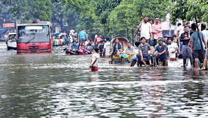Waterlogging.jpg