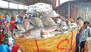 Aquaculture-4.0.jpg
